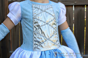 Cinderalla Costume