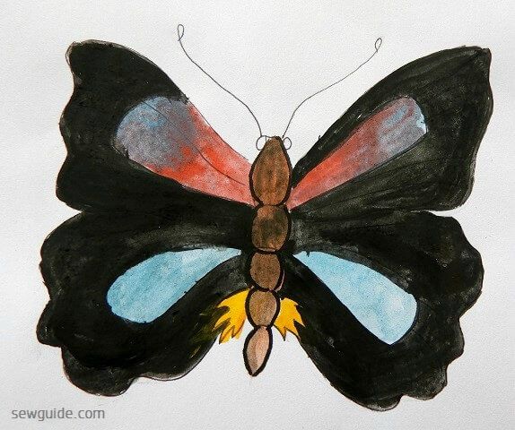 butterfly design