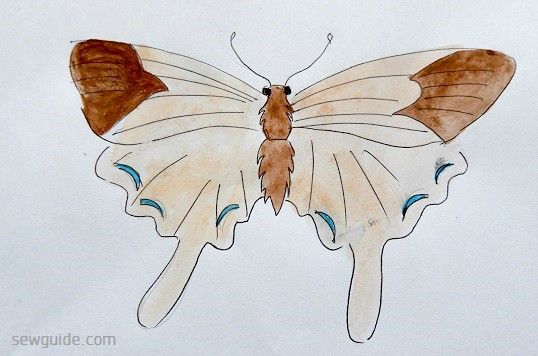 butterfly designs