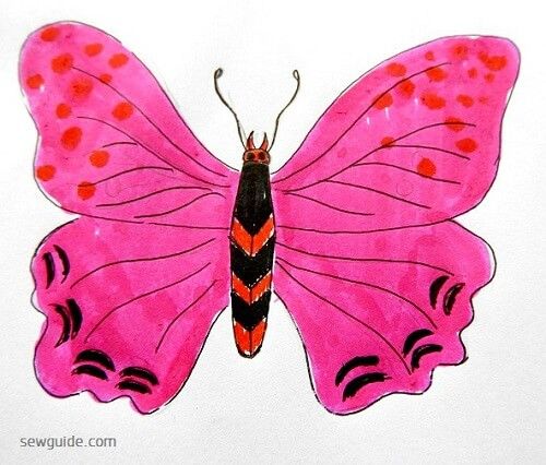 butterfly designs
