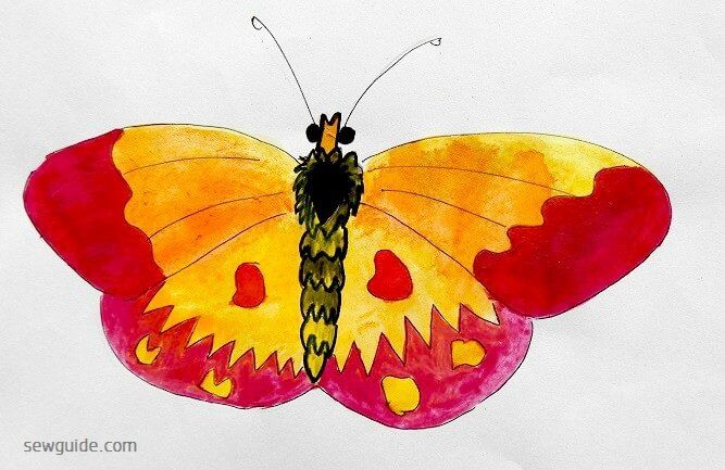 Butterfly Design