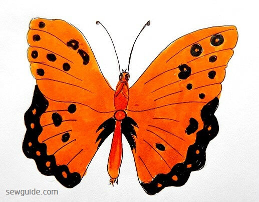 butterfly designs