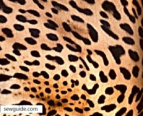 cheetah print